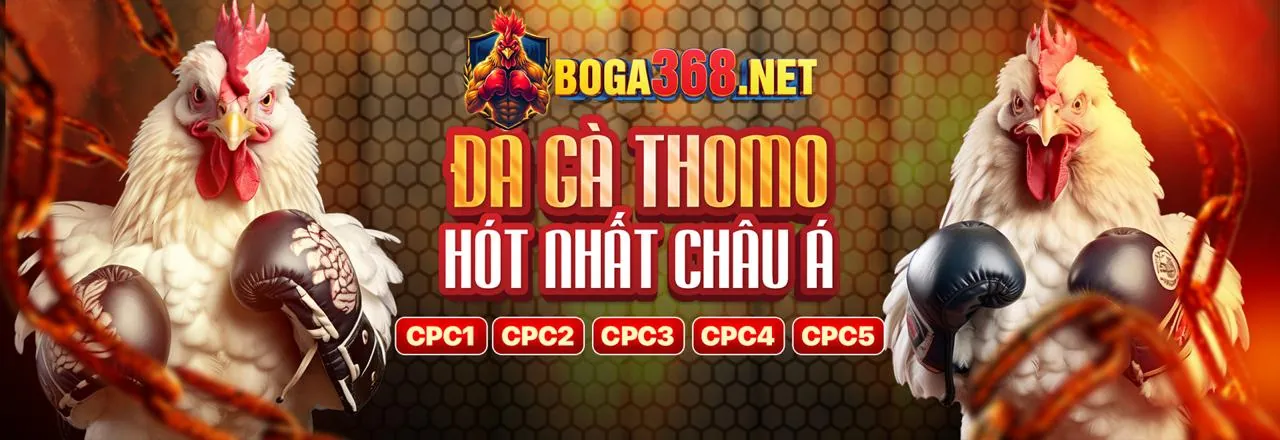 Tổng quan các chương trình khuyến mãi Kuwin24 Win