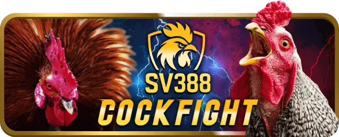 Người dùng nạp tiền và đặt cược trên kuwin24 win